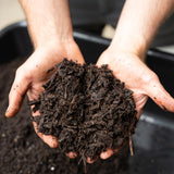 Premium Compost