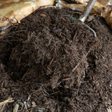 Premium Compost